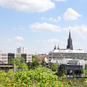 Stadtwerke Ulm/Neu-Ulm Netze